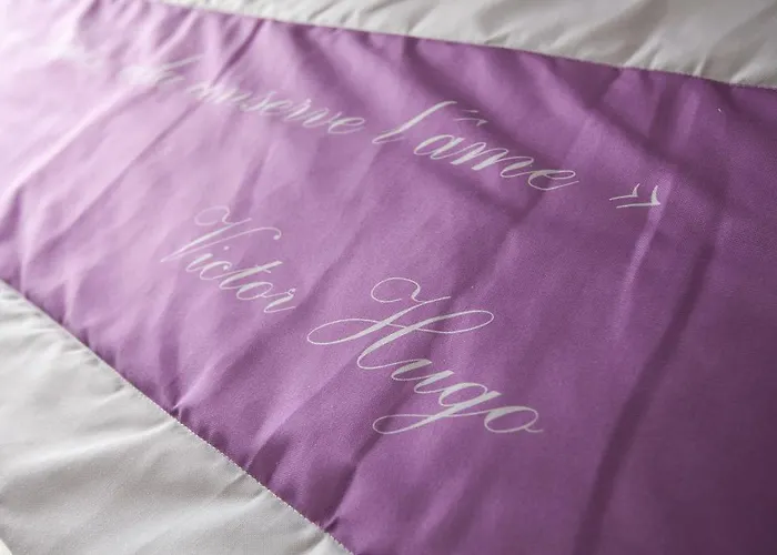 萨皮尔格尔内尔酒店 巴黎